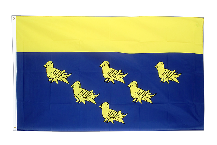West Sussex - Flagge 90 x 150 cm
