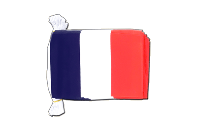 Guirlande fanion France 15 x 22 cm