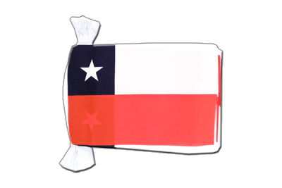 Chile Flag Bunting 6x9", 9 m