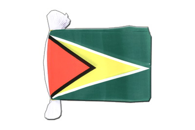 Guyana - Fahnenkette 15 x 22 cm