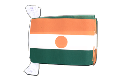 Niger Flag Bunting 6x9", 9 m