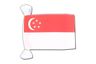 Guirlande fanion Singapour 15 x 22 cm