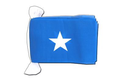 Somalia Flag Bunting 6x9", 9 m