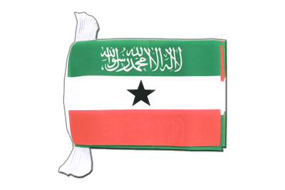 Somaliland - Flag Bunting 6x9", 9 m