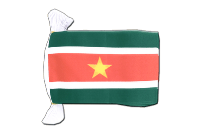 Suriname - Flag Bunting 6x9", 9 m