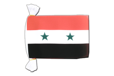 Syria - Flag Bunting 6x9", 9 m