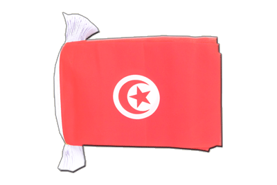 Guirlande fanion Tunisie 15 x 22 cm