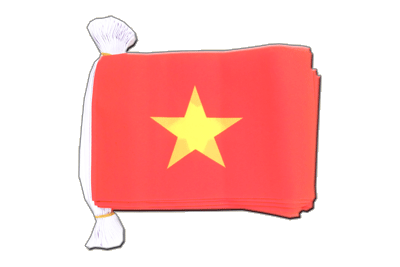 Guirlande fanion Viêt Nam Vietnam 15 x 22 cm
