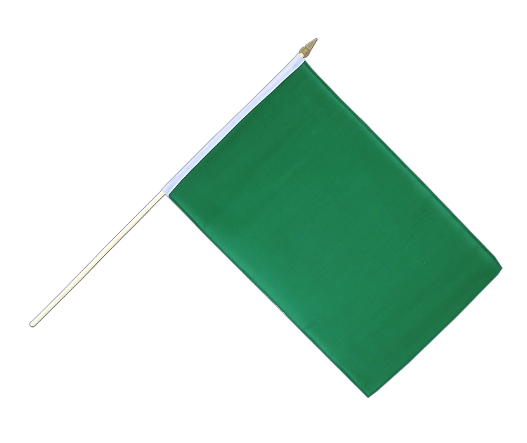 Drapeau Vert sur hampe 30 x 45 cm