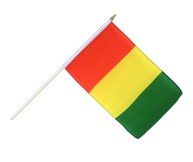 Guinea Stockflagge 30 x 45 cm