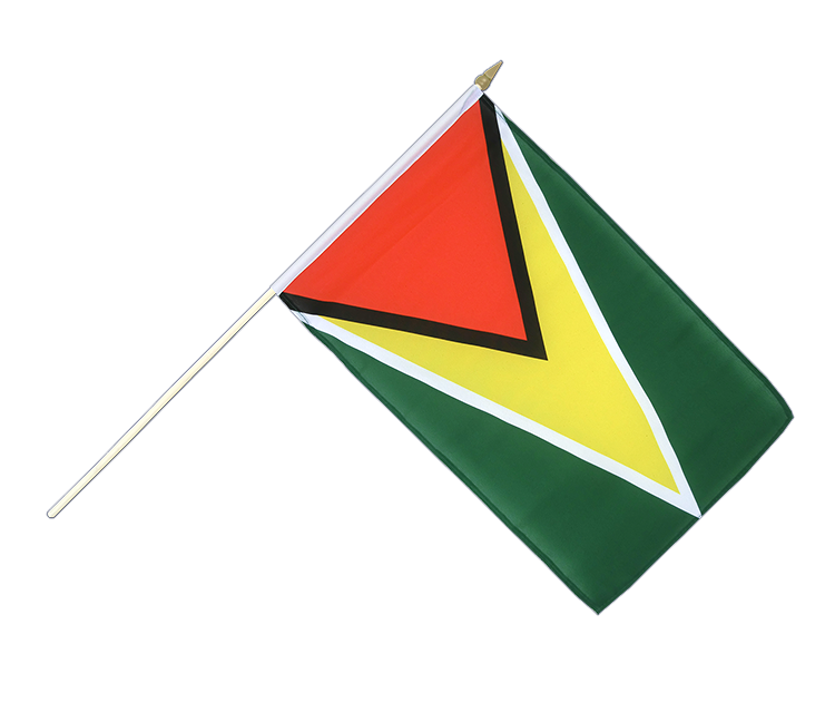 Guyana - Drapeau sur hampe 30 x 45 cm