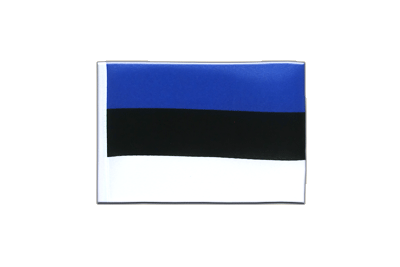 Mini Estonia Flag 4x6"