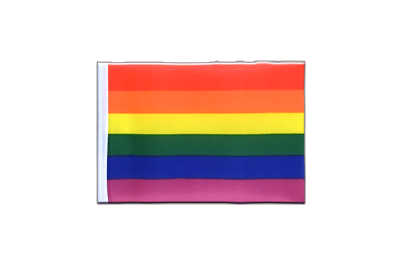 Mini Rainbow Flag 4x6"