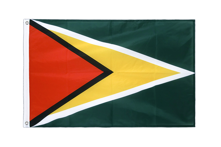 Guyana - Hissfahne VA Ösen 60 x 90 cm