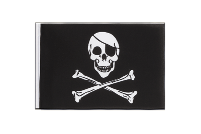 Pirate Skull and Bones - Little Flag 6x9"