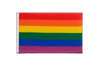 Little Rainbow Flag 6x9"