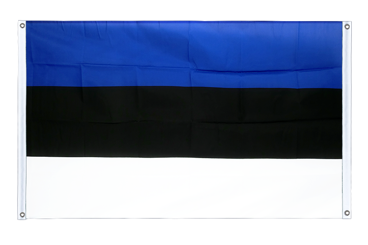Banner Flag Estonia - 3x5 ft (90x150 cm), landscape