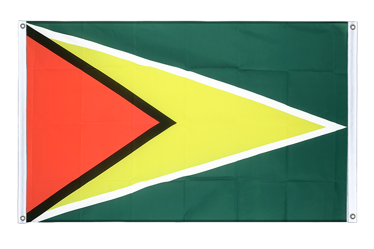Guyana - Bannerfahne 90 x 150 cm, Querformat