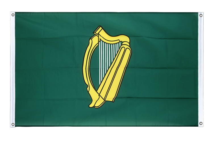 Leinster - Bannerfahne 90 x 150 cm, Querformat