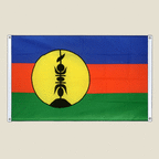 New caledonia flag