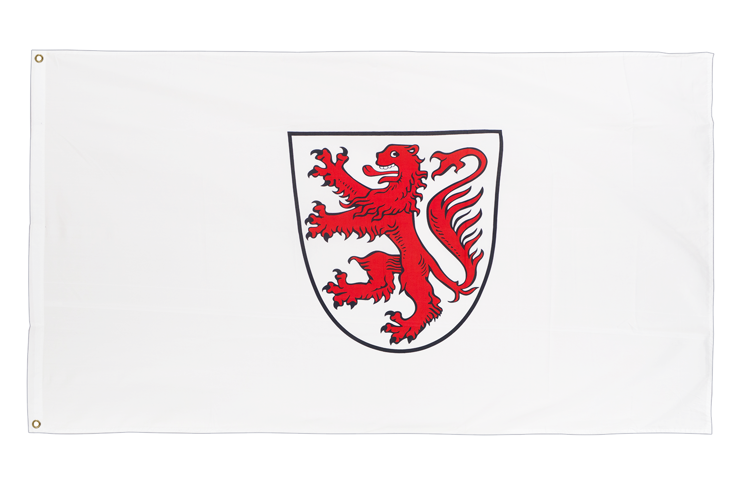 Hissflagge Fahne Eintracht Braunschweig Logo XL Flagge 200 x 300 cm 