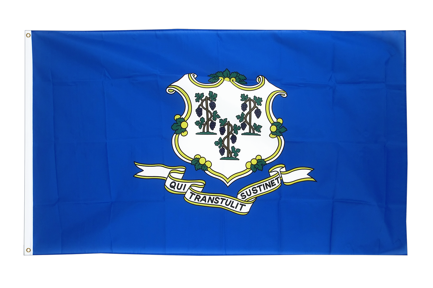 Fahne Maine Querformat 90 x 150 cm U.S.A Hiss Flagge Bundesstaat USA