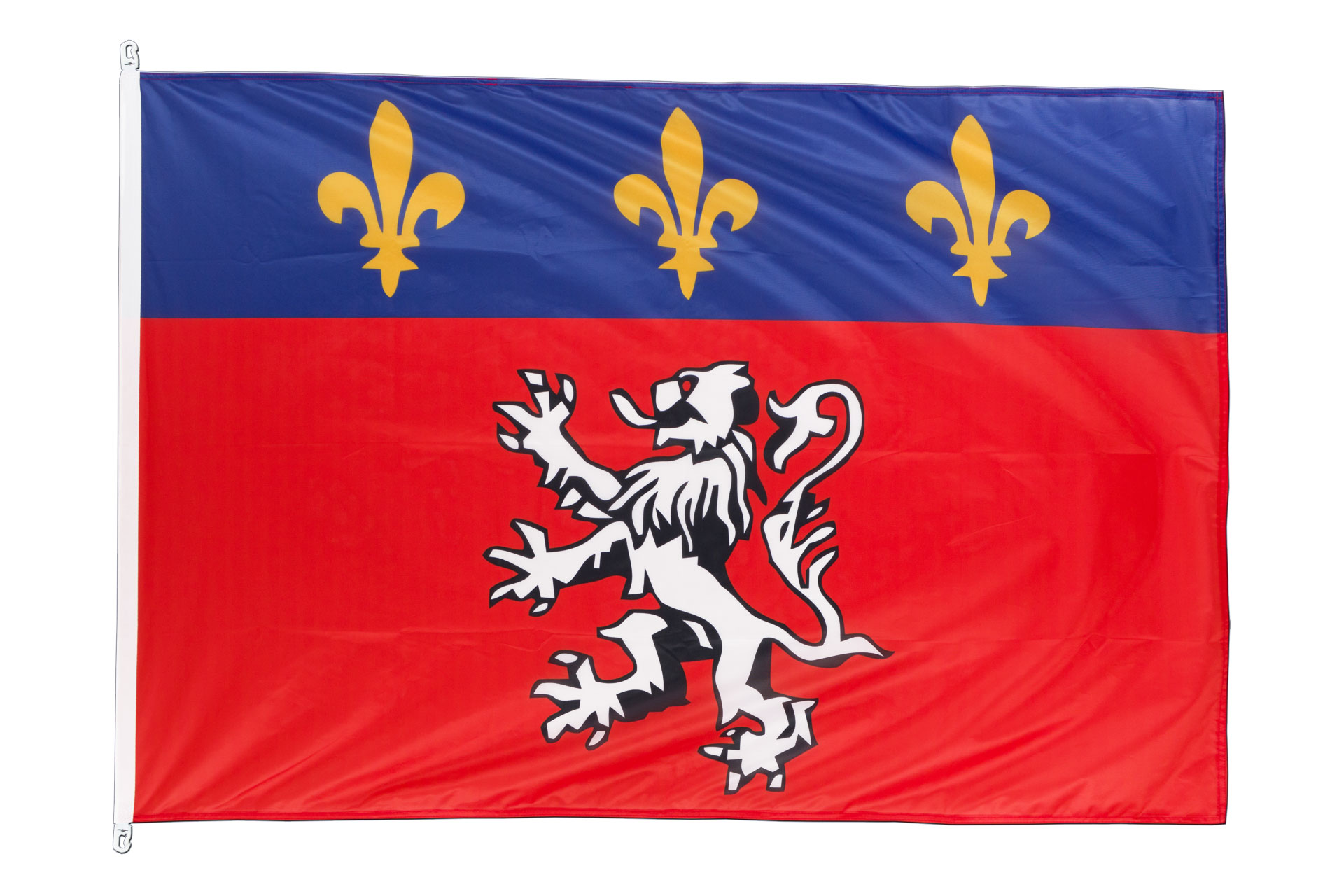 Lyon Flag for Sale - Buy online at Royal-Flags