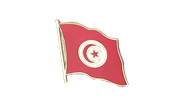 Tunisie Pin's drapeau 2 x 2 cm