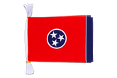 Fahnenkette Tennessee - 15 x 22 cm, 3 m