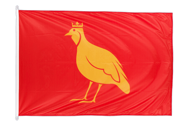 Aunis Flag PRO 100 x 150 cm