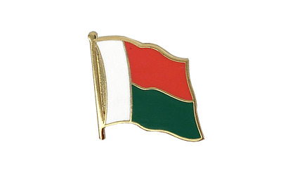 Madagascar Flag Lapel Pin