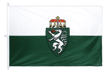 Styria Flag PRO 200 x 300 cm