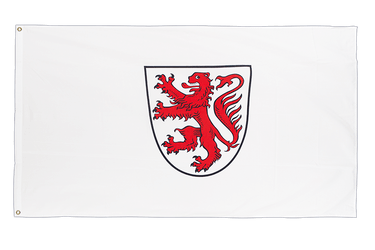 Stadt Braunschweig mit Wappen Flagge 90 x 150 cm