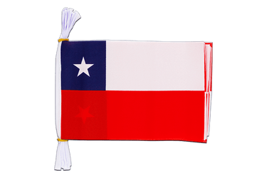 Chile Flag Bunting 6x9", 3 m