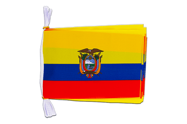 Flag Bunting Ecuador - 6x9", 3 m