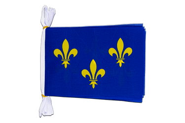 Frankreich Ile de France Fahnenkette 15 x 22 cm, 3 m