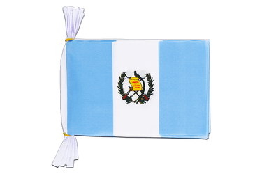 Guatemala Flag Bunting 6x9", 3 m