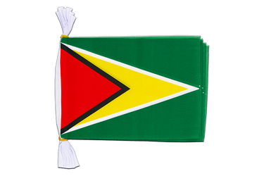 Flag Bunting Guyana - 6x9", 3 m