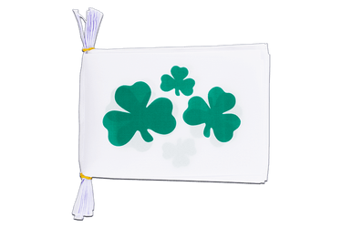 Ireland Shamrock Flag Bunting 6x9", 3 m
