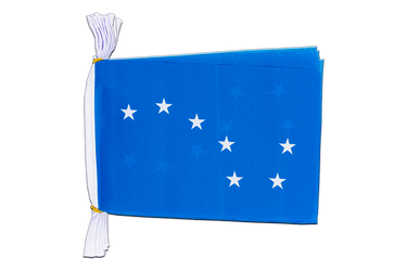 10 flag bunting 3 metre long Starry Plough Royal Blue