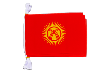 Kyrgyzstan Flag Bunting 6x9", 3 m