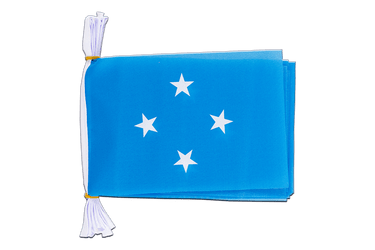 Micronesia Flag Bunting 6x9", 3 m