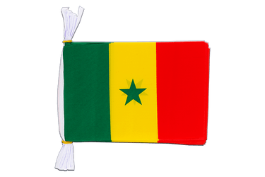 Flag Bunting Senegal - 6x9", 3 m