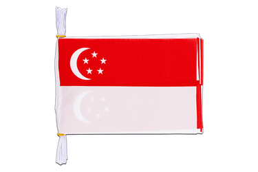 Flag Bunting Singapore - 6x9", 3 m