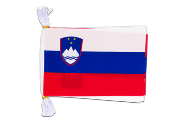 Slovenia Flag Bunting 6x9", 3 m