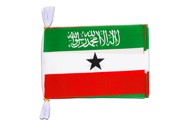 Somaliland Flag Bunting 6x9", 3 m