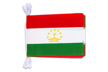 Tajikistan Flag Bunting 6x9", 3 m