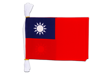 Taiwan Flag Bunting 6x9", 3 m