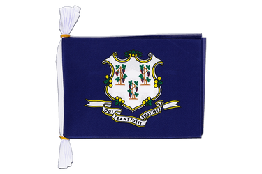 USA Connecticut Flag Bunting 6x9", 3 m