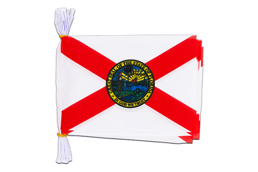 USA Florida Flag Bunting 6x9", 3 m